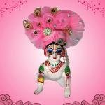LADDU GOPAL JI PAGREE SP-D69
